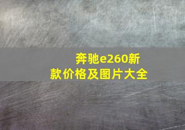 奔驰e260新款价格及图片大全