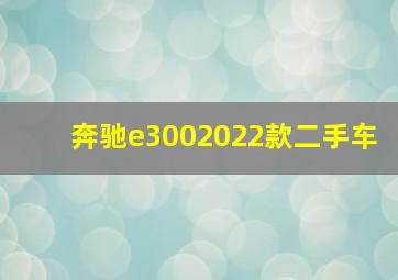 奔驰e3002022款二手车