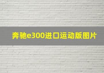 奔驰e300进口运动版图片