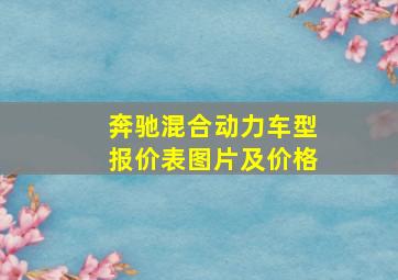 奔驰混合动力车型报价表图片及价格