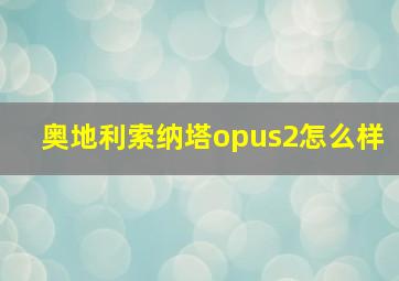 奥地利索纳塔opus2怎么样