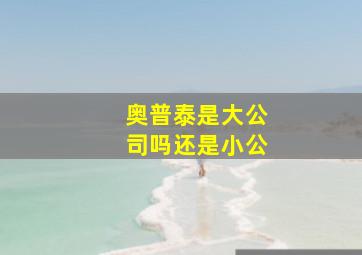 奥普泰是大公司吗还是小公