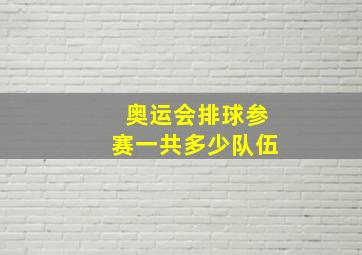 奥运会排球参赛一共多少队伍