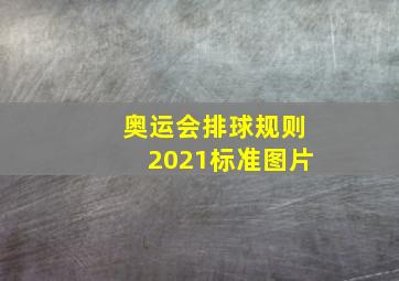 奥运会排球规则2021标准图片