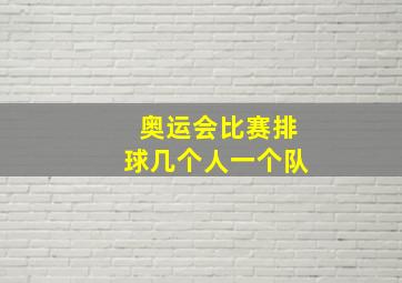 奥运会比赛排球几个人一个队