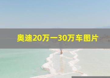 奥迪20万一30万车图片