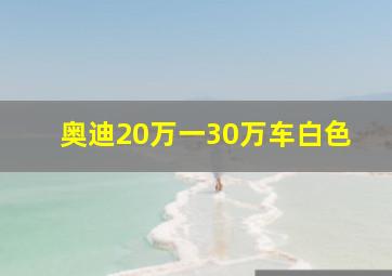 奥迪20万一30万车白色