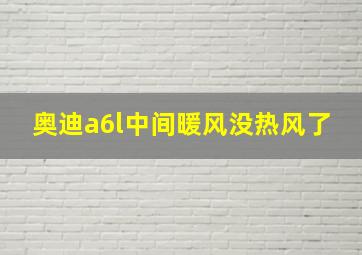 奥迪a6l中间暖风没热风了