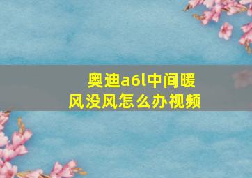 奥迪a6l中间暖风没风怎么办视频