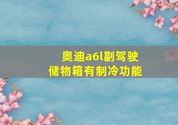 奥迪a6l副驾驶储物箱有制冷功能