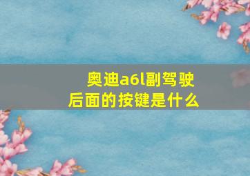 奥迪a6l副驾驶后面的按键是什么