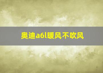 奥迪a6l暖风不吹风