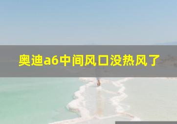 奥迪a6中间风口没热风了