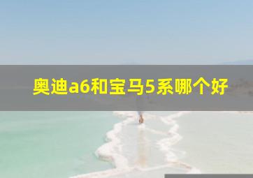 奥迪a6和宝马5系哪个好