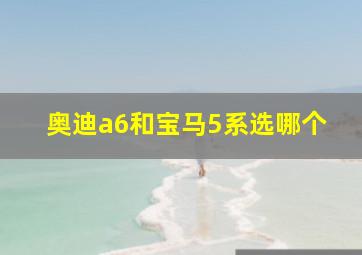 奥迪a6和宝马5系选哪个