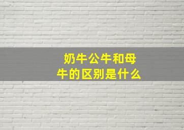 奶牛公牛和母牛的区别是什么