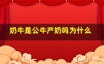 奶牛是公牛产奶吗为什么