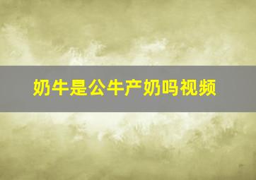 奶牛是公牛产奶吗视频