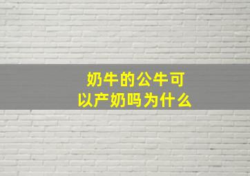 奶牛的公牛可以产奶吗为什么