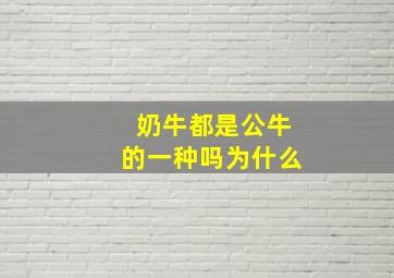 奶牛都是公牛的一种吗为什么