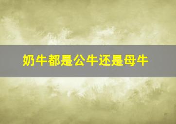 奶牛都是公牛还是母牛