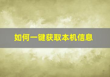 如何一键获取本机信息