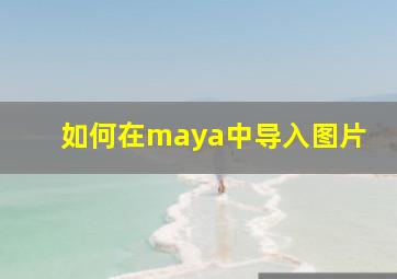 如何在maya中导入图片