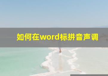 如何在word标拼音声调