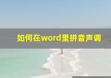 如何在word里拼音声调