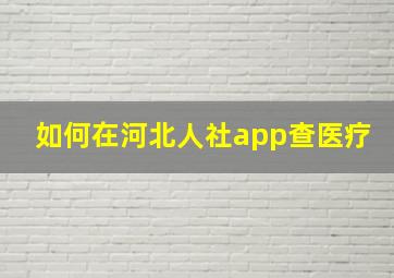 如何在河北人社app查医疗