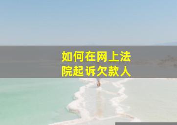 如何在网上法院起诉欠款人