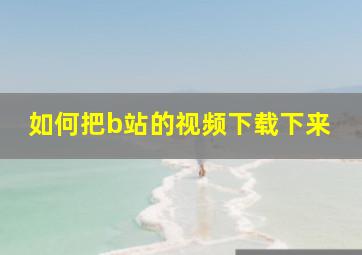 如何把b站的视频下载下来