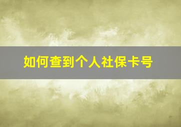 如何查到个人社保卡号