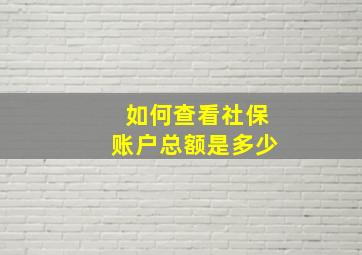 如何查看社保账户总额是多少