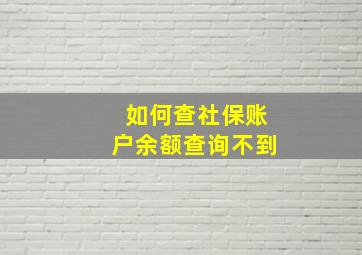 如何查社保账户余额查询不到