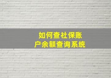 如何查社保账户余额查询系统