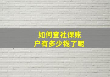 如何查社保账户有多少钱了呢