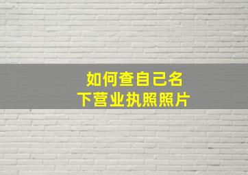 如何查自己名下营业执照照片