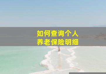 如何查询个人养老保险明细