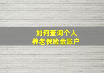 如何查询个人养老保险金账户