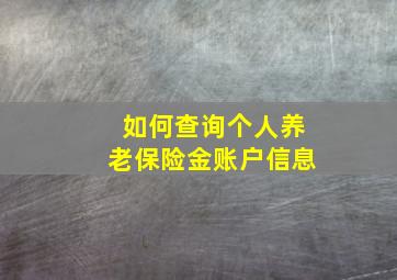 如何查询个人养老保险金账户信息