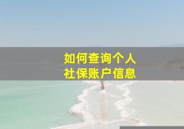 如何查询个人社保账户信息