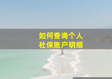 如何查询个人社保账户明细