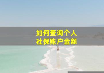 如何查询个人社保账户金额