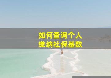 如何查询个人缴纳社保基数