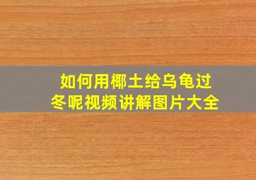 如何用椰土给乌龟过冬呢视频讲解图片大全