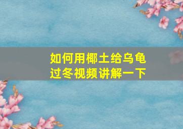 如何用椰土给乌龟过冬视频讲解一下