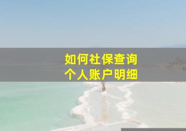 如何社保查询个人账户明细