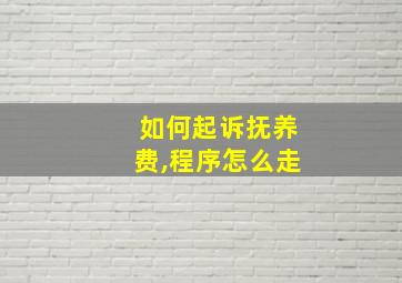 如何起诉抚养费,程序怎么走