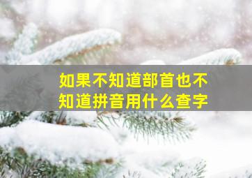 如果不知道部首也不知道拼音用什么查字